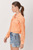 Mystree Mixed Lace Jacket