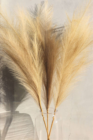 Wildflower Co. - Large Cream Faux Pampas Grass - 3 Stems