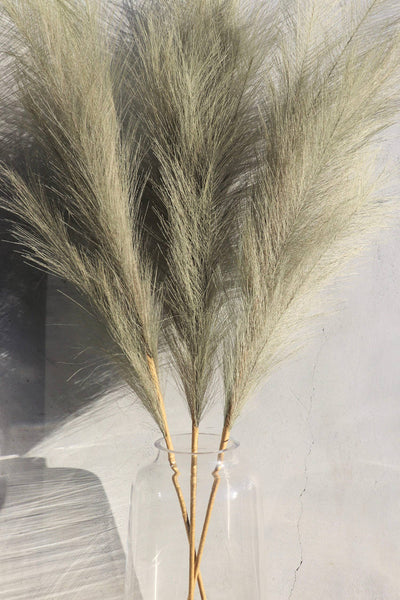 Wildflower Co. - Large Olive Faux Pampas Grass - 3 Stems